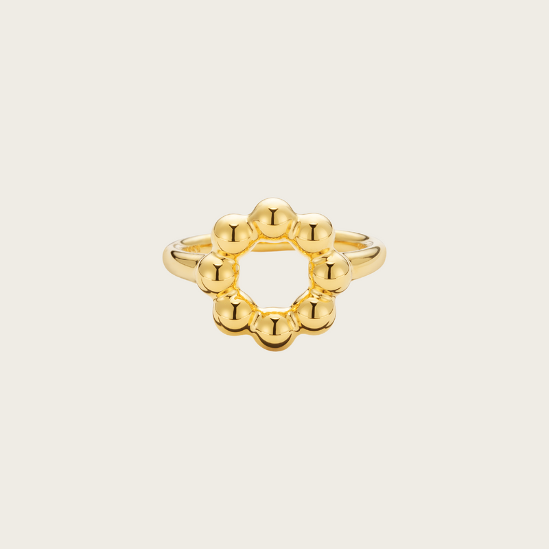 Donut - Donut Ring - A Taste of Minimalist Delight