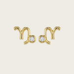 Celestial Whisper - Capricorn Constellation Earring - Your Talisman of Timeless Light
