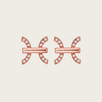 Celestial Whisper - Pisces Constellation Earring - Your Talisman of Timeless Light