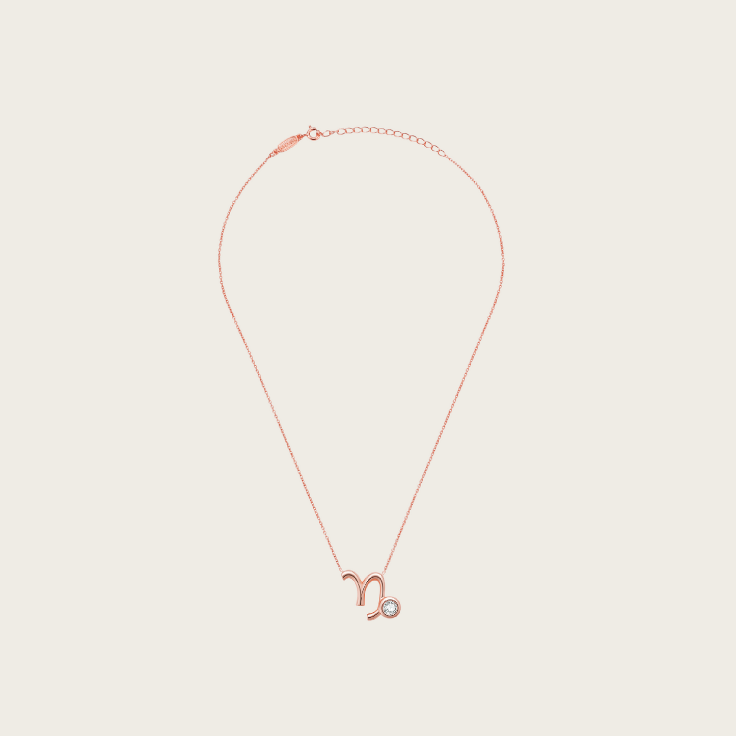 Celestial Whisper - Capricorn Constellation Necklace - Your Talisman of Timeless Light