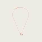 Celestial Whisper - Capricorn Constellation Necklace - Your Talisman of Timeless Light