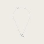 Celestial Whisper - Capricorn Constellation Necklace - Your Talisman of Timeless Light