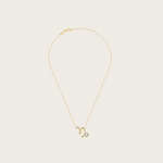 Celestial Whisper - Capricorn Constellation Necklace - Your Talisman of Timeless Light